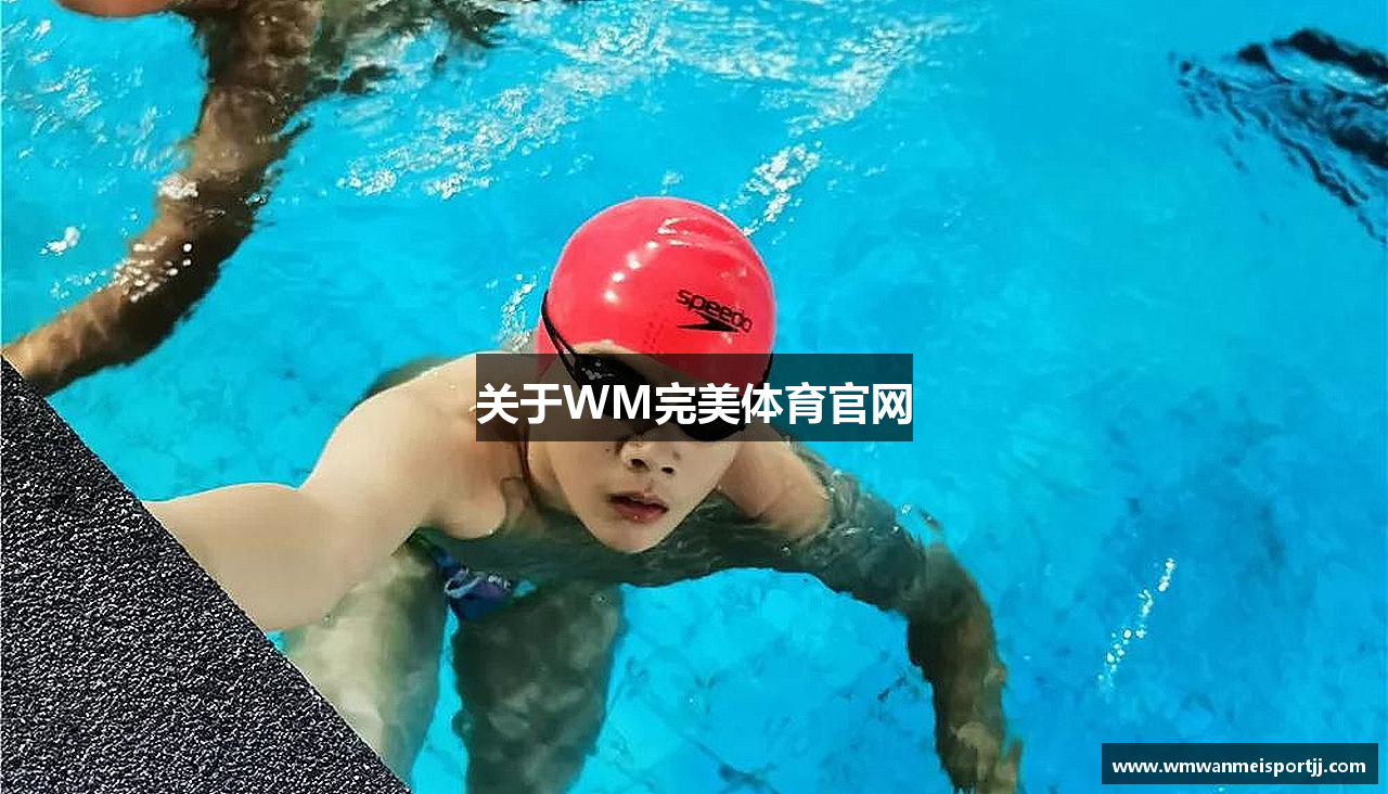 关于WM完美体育官网